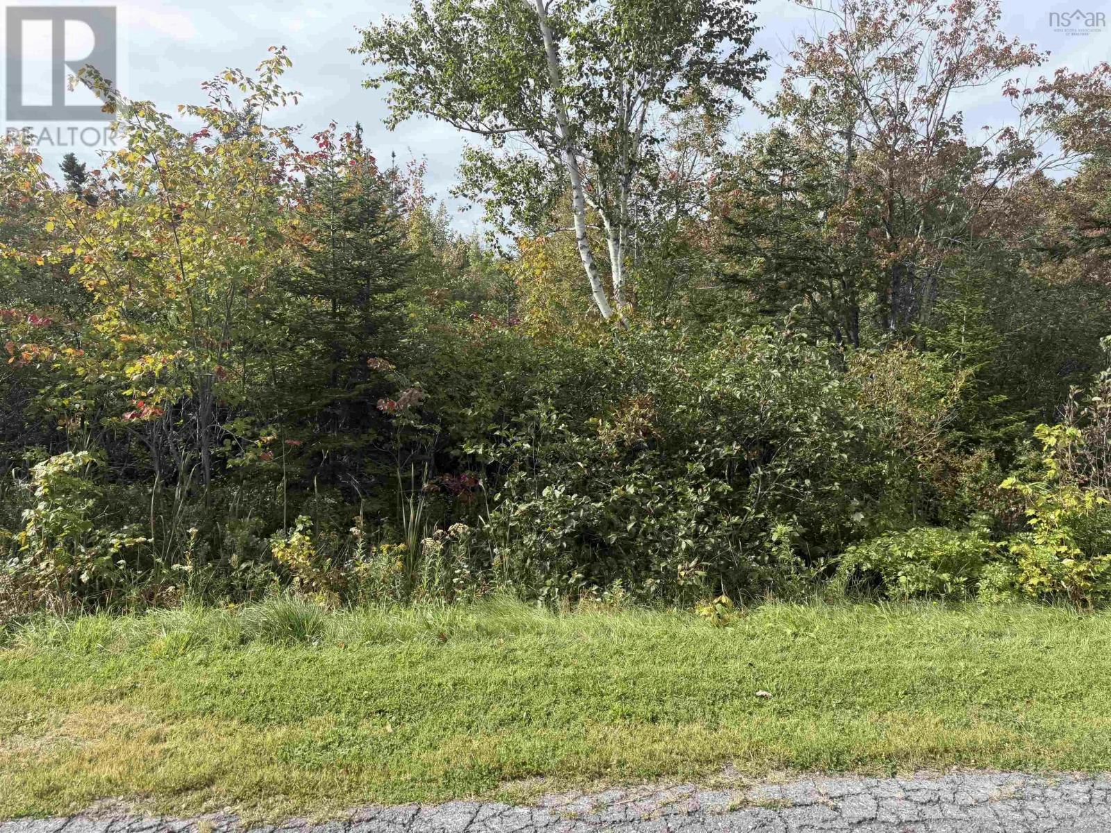 LOT25 Schaller Drive, Sydney Forks, NS, B1L 1A1