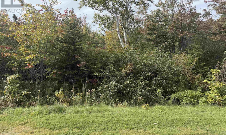 LOT25 Schaller Drive