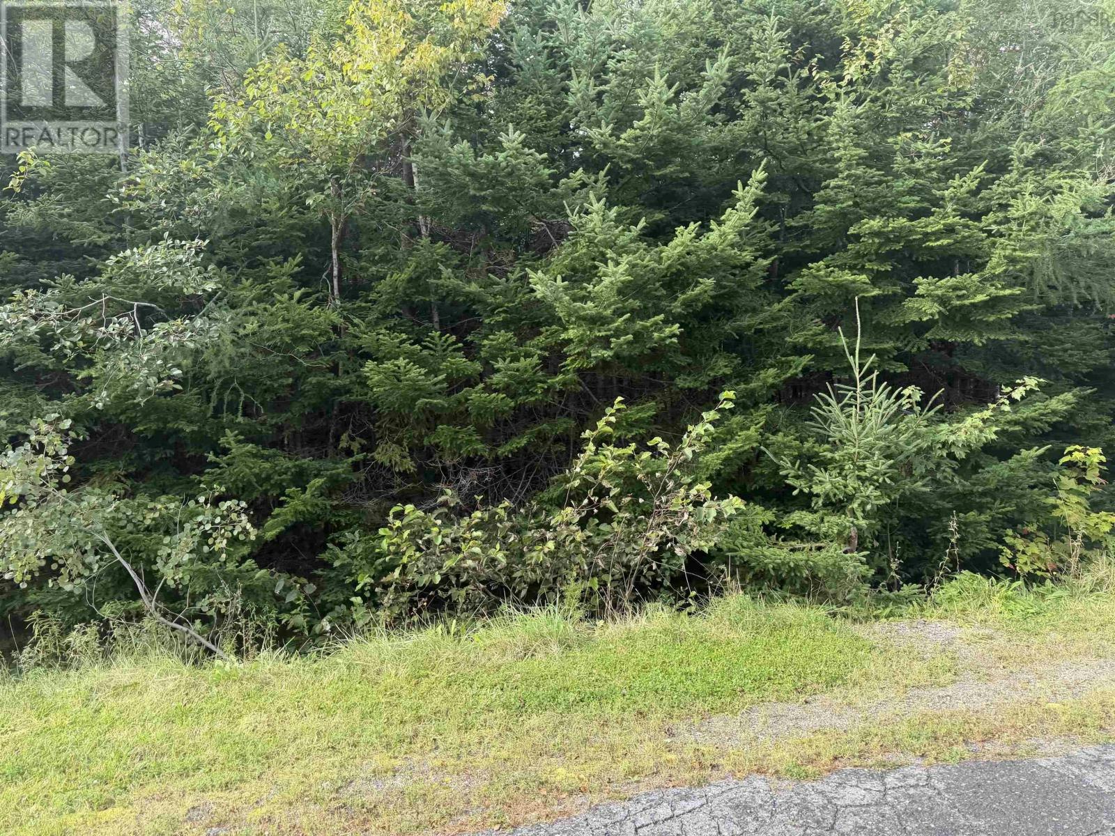 LOT-11 Schaller Drive, Sydney Forks, NS, B1L 1A1