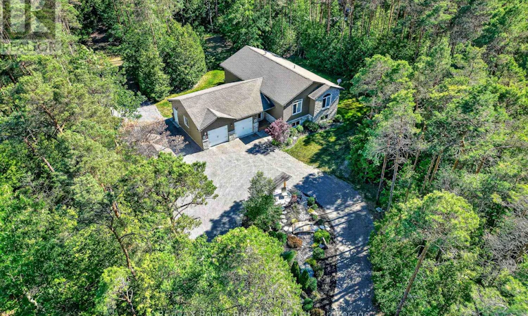 149 Pine Tree Lane