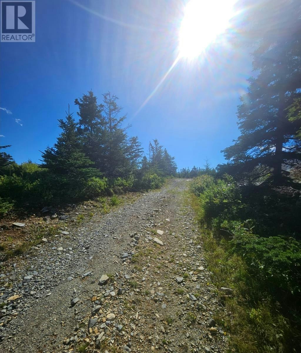 95A Chipmans Road, Spaniard's Bay, NL, A0A 3X0