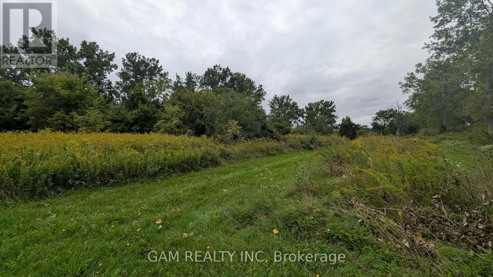 V/L County 46 Road Road, Lakeshore, ON, N0P 1J0