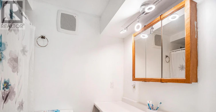 BSMNT-201 Biscayne Boulevard, Georgina, ON, L4P 3L8 - 12