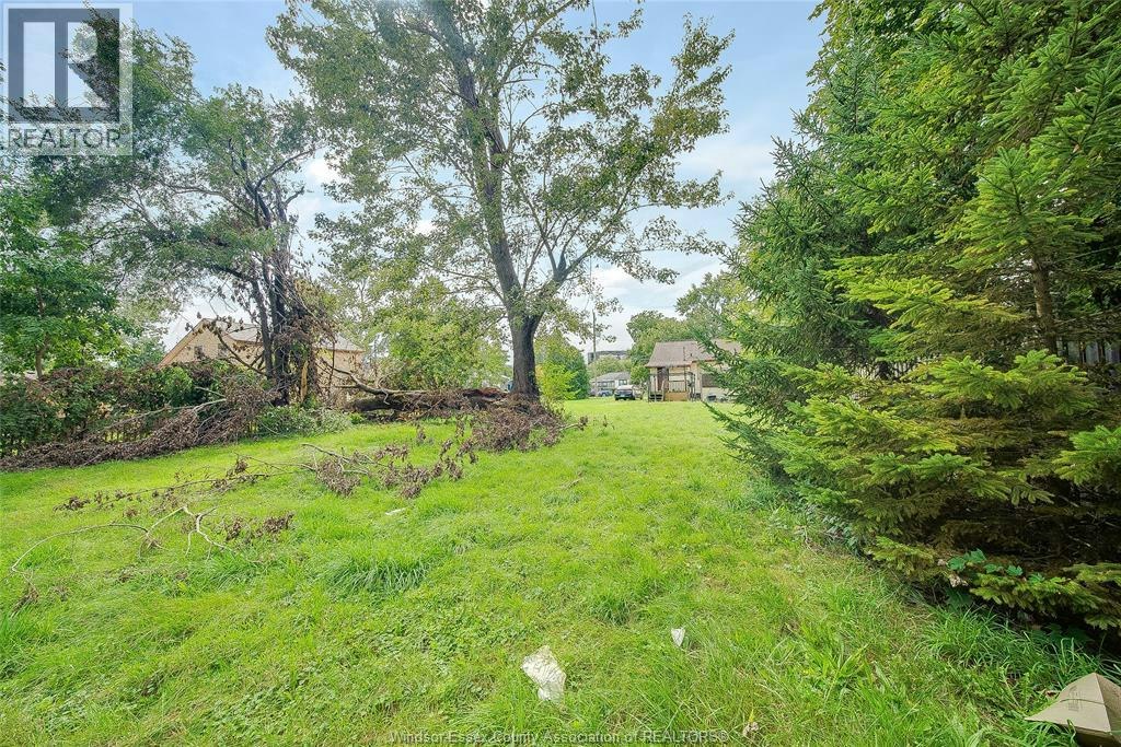 2454 Jos St. Louis Avenue, Windsor, ON, N8T 2M5 - 35