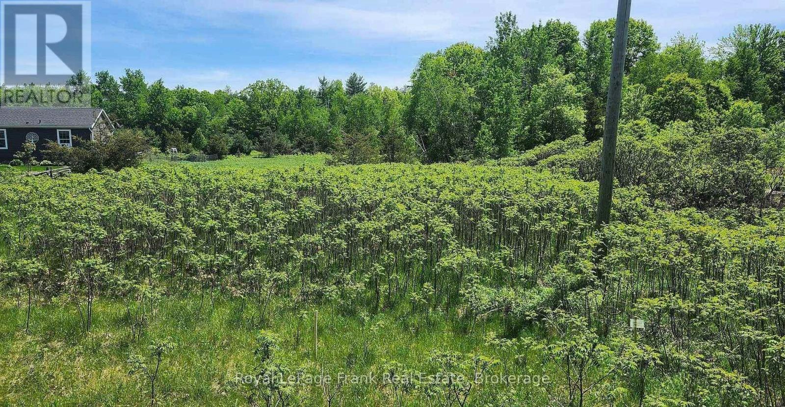 LOT-14 Trent River Road, Trent Hills, ON, K0L 1Z0