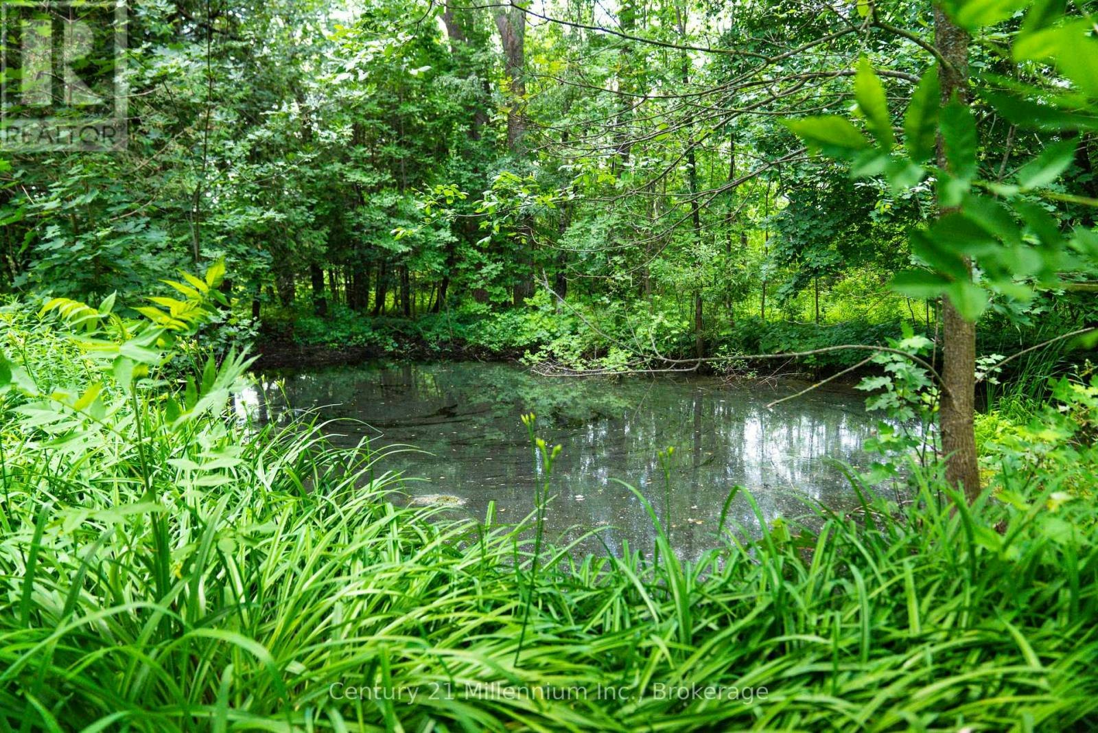175134 Grey 30 Road Road, Grey Highlands, ON, N0C 1H0 - 26