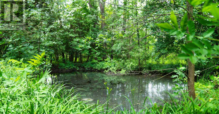 175134 Grey 30 Road Road, Grey Highlands, ON, N0C 1H0 - 26