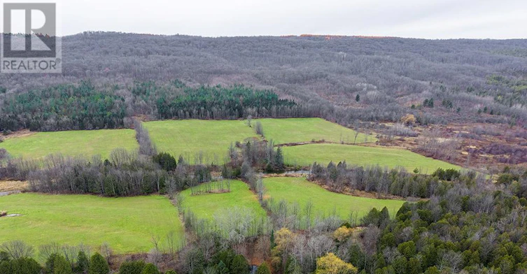 175134 Grey 30 Road Road, Grey Highlands, ON, N0C 1H0 - 24