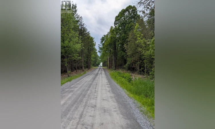 7322 Stone School Road