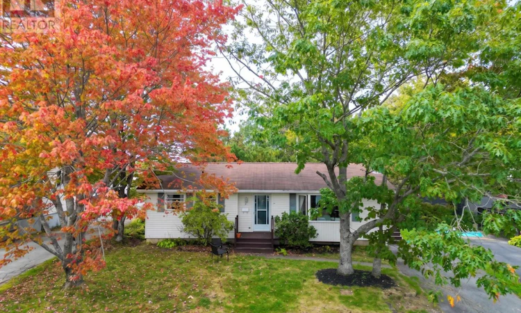 7 Haviland Street