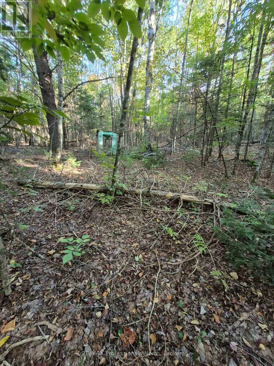 1257 Hamilton Road, Minden Hills, ON, K0M 2K0