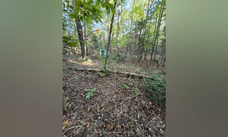 1257 Hamilton Road