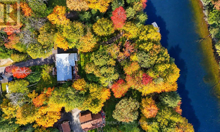 1099 Sherwood Forest Road