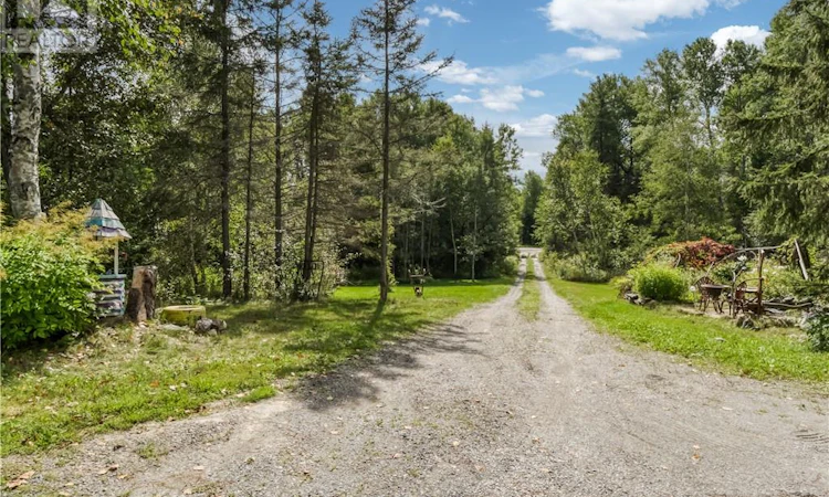 896 Red Deer Lake Road N