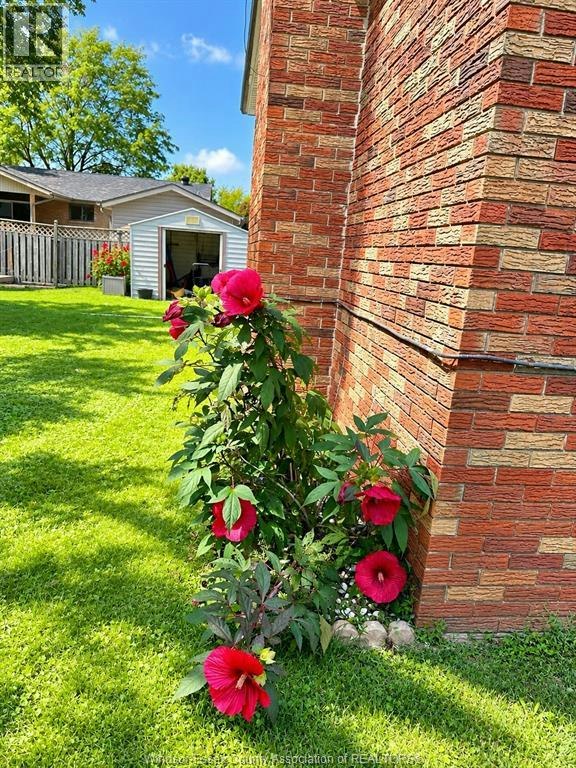 LOWER-569 Lesperance Road, Tecumseh, ON, N8N 1W5 - 9