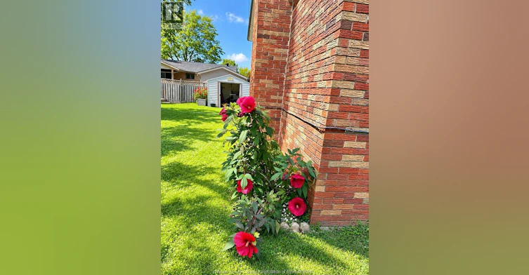 LOWER-569 Lesperance Road, Tecumseh, ON, N8N 1W5 - 9