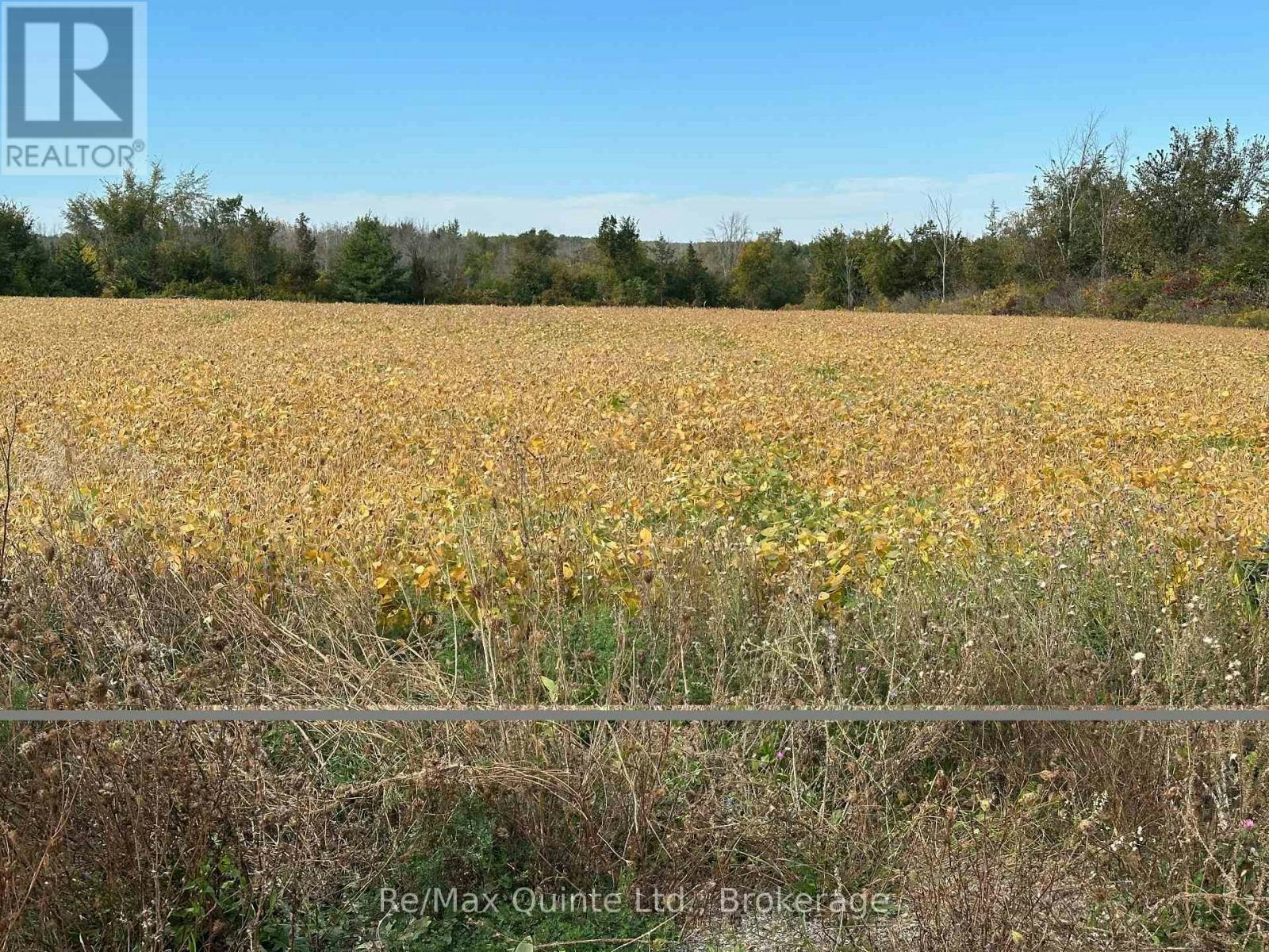 1807 Marysville Road, Tyendinaga, ON, K0K 2N0