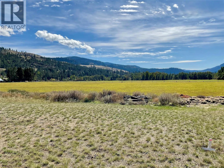 388 Fourth Avenue, Midway, BC, V0H 1M0