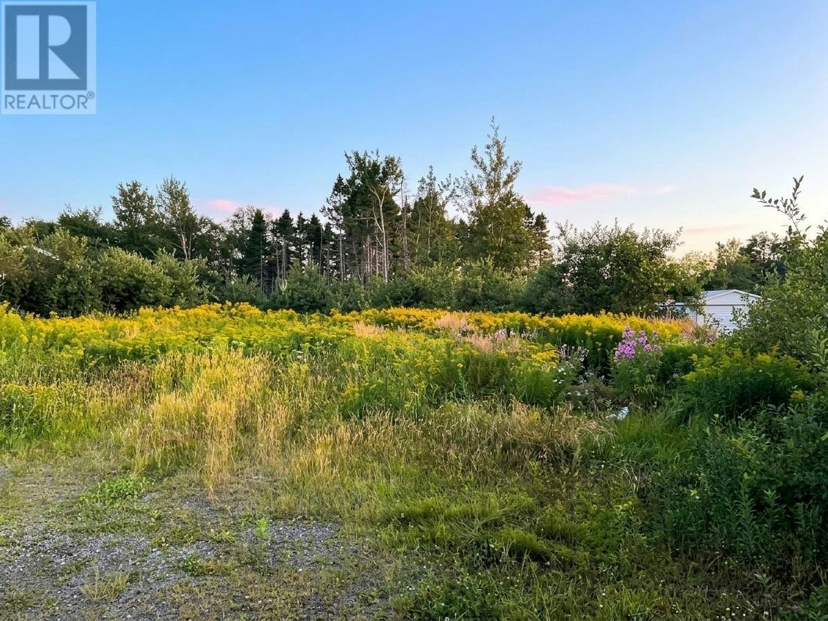 41 Mccurdy Drive, Gander, NL, A1V 1A1