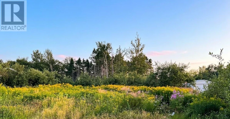 41 Mccurdy Drive, Gander, NL, A1V 1A1