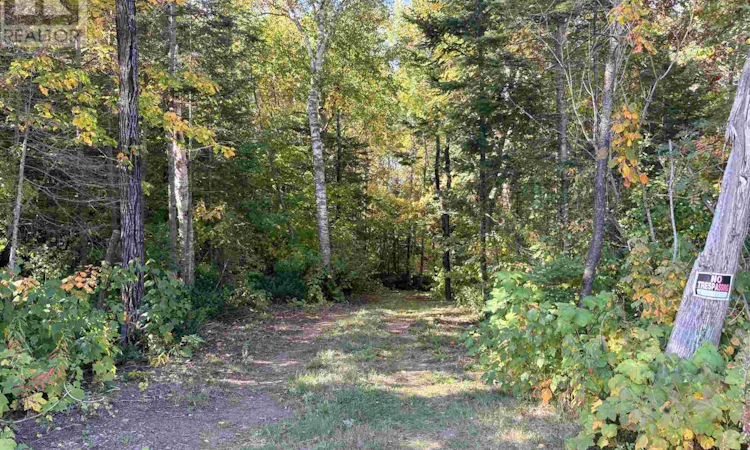 Coppermine Point 17n Hwy Hwy N