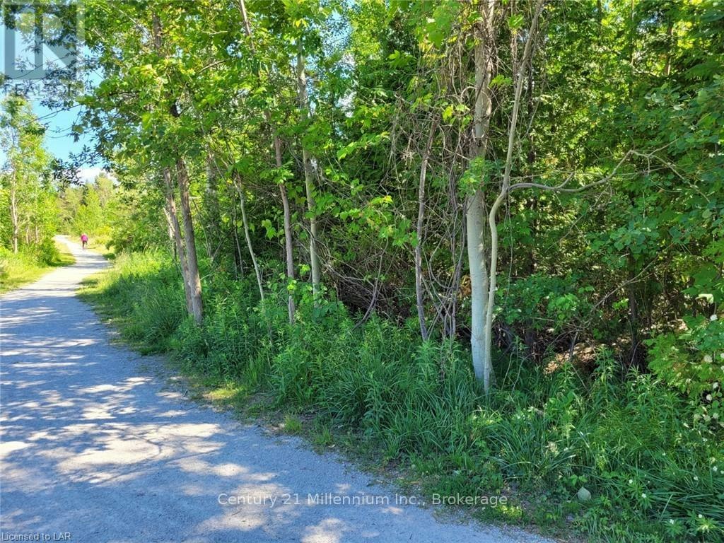 11325 26 Highway, Collingwood, ON, L9Y 5H8