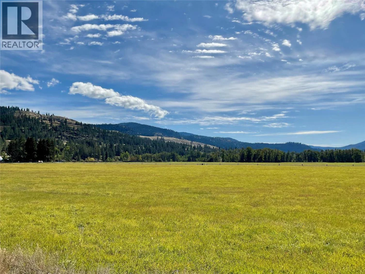 364 Fourth Avenue, Midway, BC, V0H 1M0 - 2