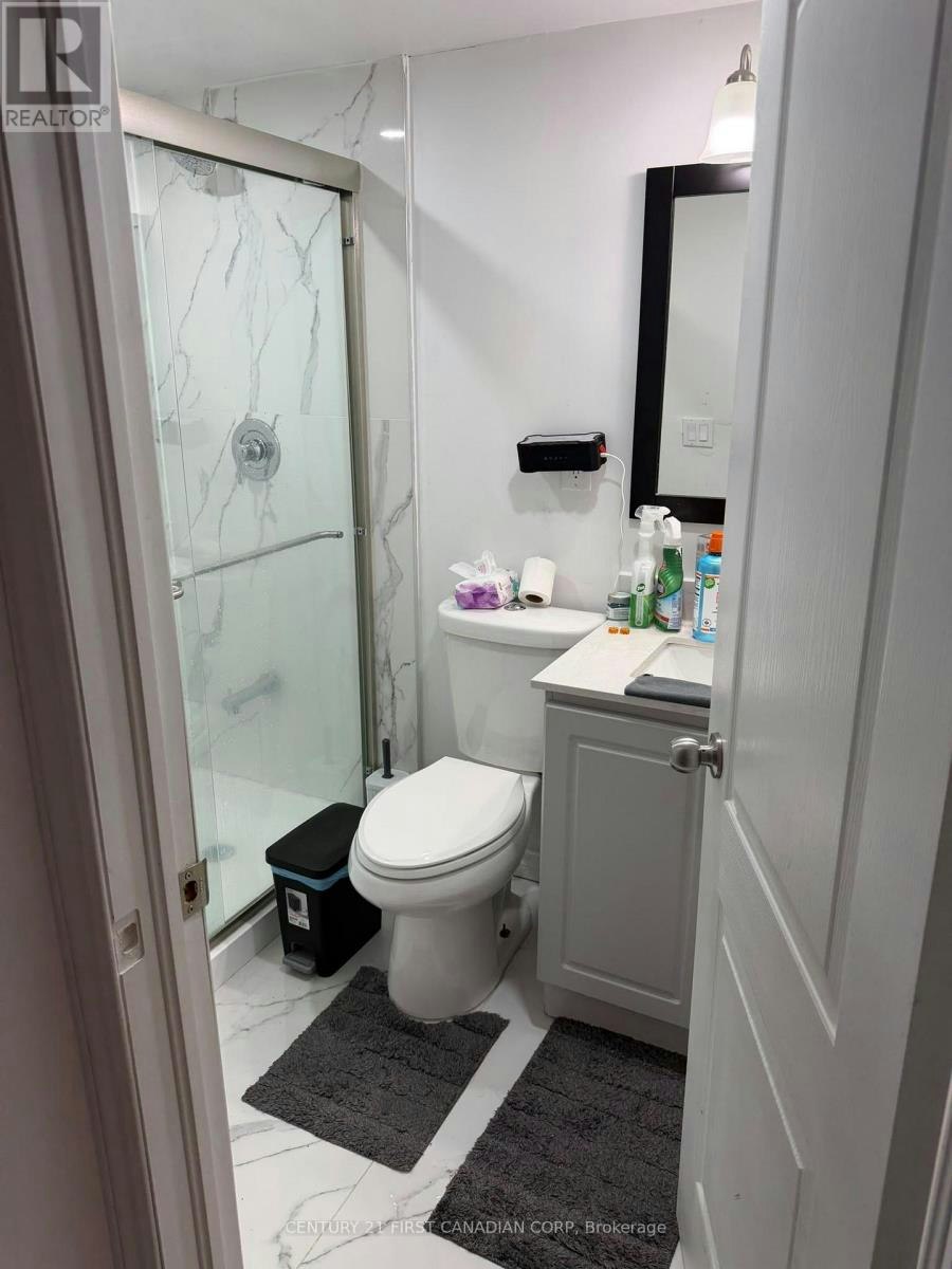 BASEMENT-231 Baseline Road W, London, ON, N6J 1V9 - 5