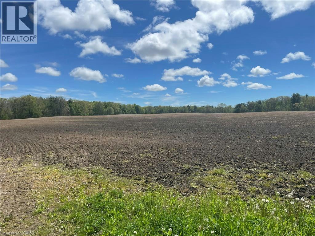 PT LT-4 Concession 10 Road, Norfolk County, ON, N4B 2W4