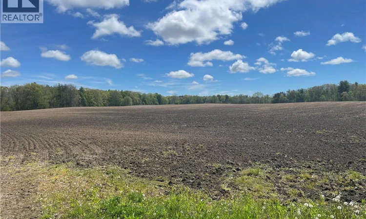 PT LT-4 Concession 10 Road
