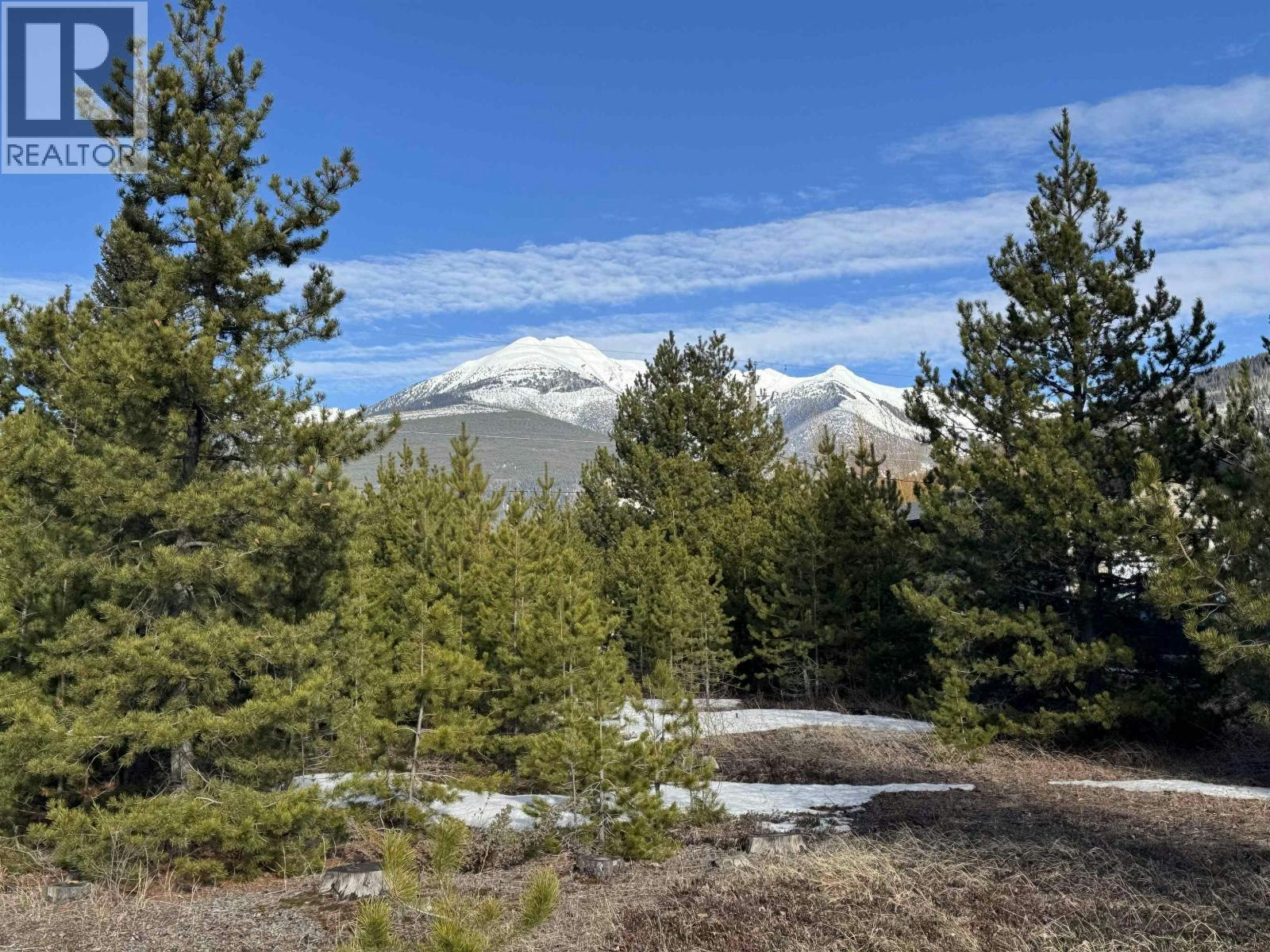 1330 9th Avenue, Valemount, BC, V0E 2Z0