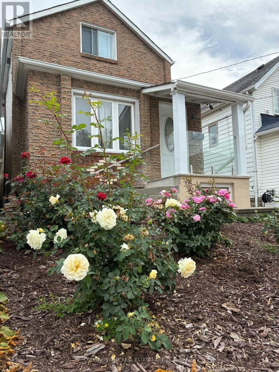 LOWER-173 Chambers Avenue, Toronto, ON, M6N 3M5