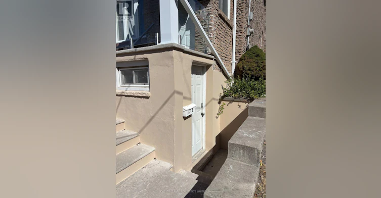LOWER-173 Chambers Avenue, Toronto, ON, M6N 3M5 - 2