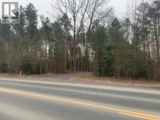 0 County 42 Road, Havelock-Belmont-Methuen, ON, K0L 1Z0