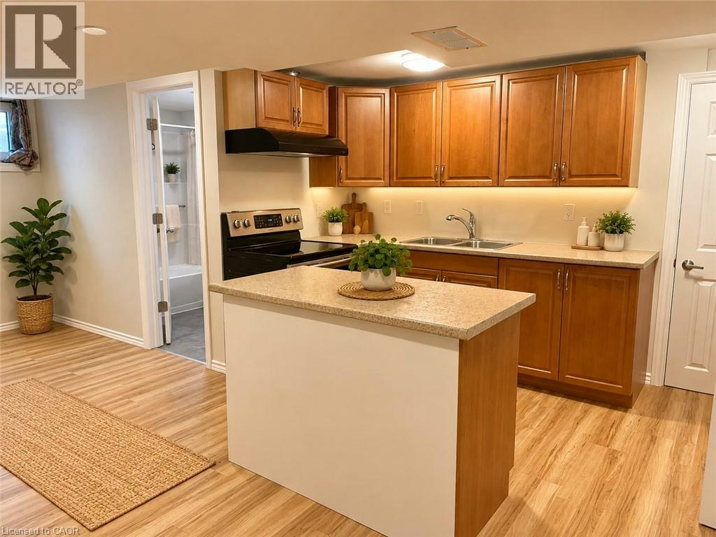 Lower-249 Blucher Street, Kitchener, ON, N2H 5V6 - 4