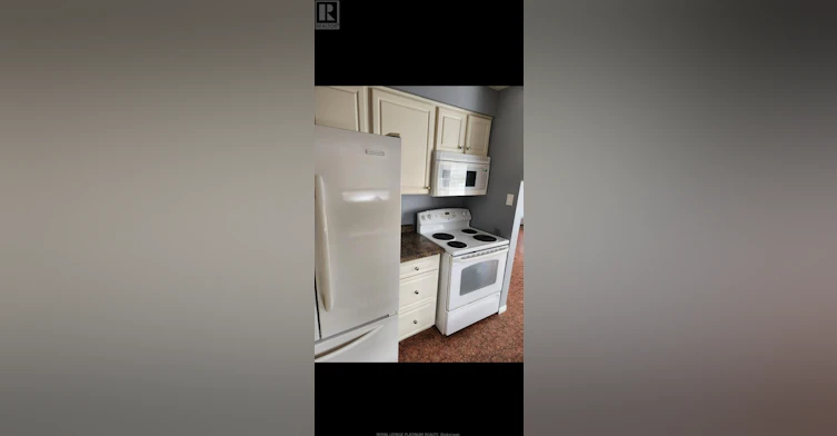 77 Culver Crescent, London, ON, N5V 3G3 - 13