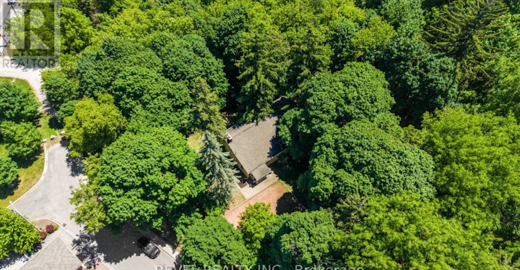 41 Mill Street, Mississauga, ON, L5M 1Y3 - 39