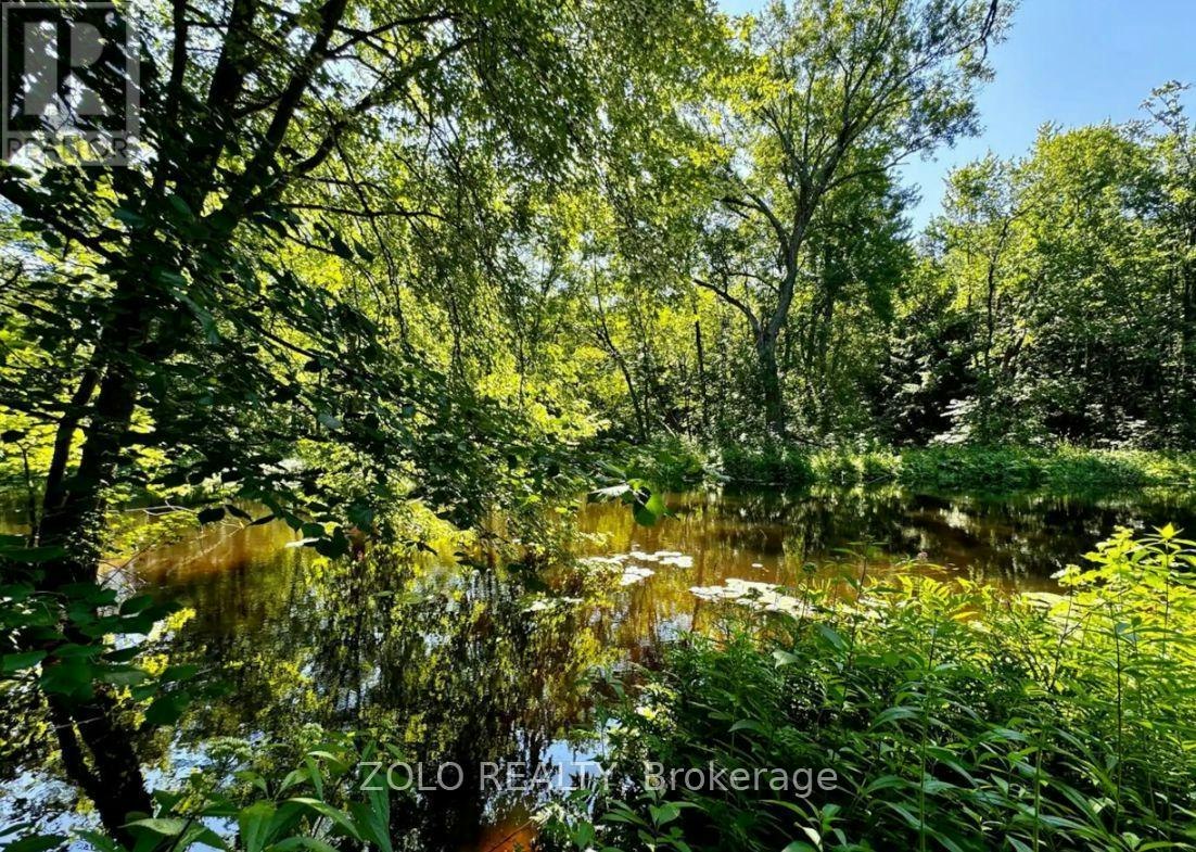 886 Monck Road, Kawartha Lakes, ON, L0K 1W0 - 28