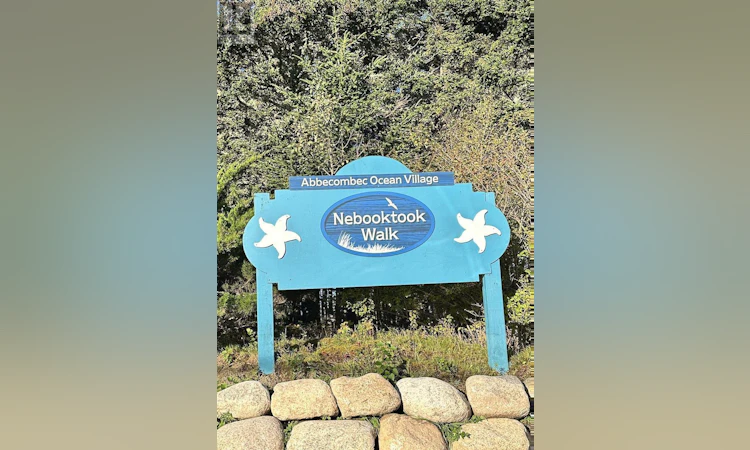 Lot-77 Nebooktook Walk