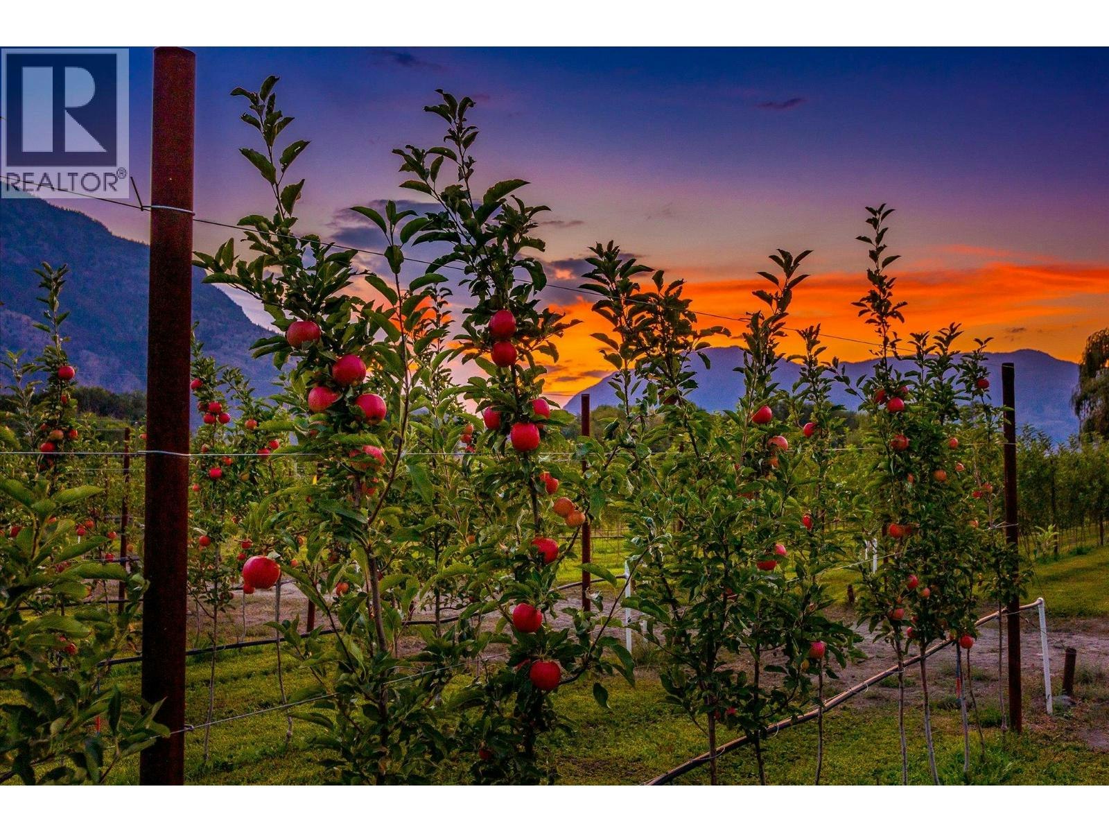 802 Coulthard Road, Cawston, BC, V0X 1C2 - 41