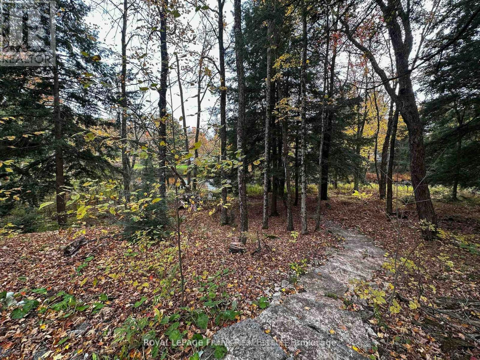 292 Edwina Drive, Galway-Cavendish and Harvey, ON, K0M 1A0 - 11