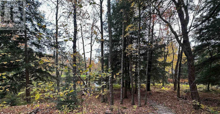 292 Edwina Drive, Galway-Cavendish and Harvey, ON, K0M 1A0 - 11