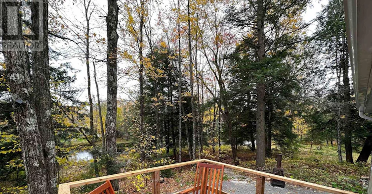 292 Edwina Drive, Galway-Cavendish and Harvey, ON, K0M 1A0 - 6