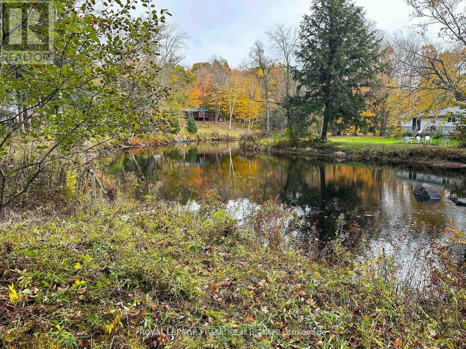 292 Edwina Drive, Galway-Cavendish and Harvey, ON, K0M 1A0 - 10