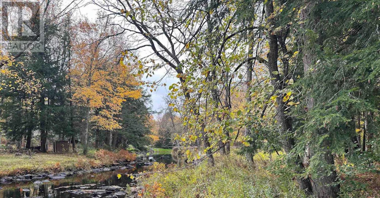 292 Edwina Drive, Galway-Cavendish and Harvey, ON, K0M 1A0 - 8