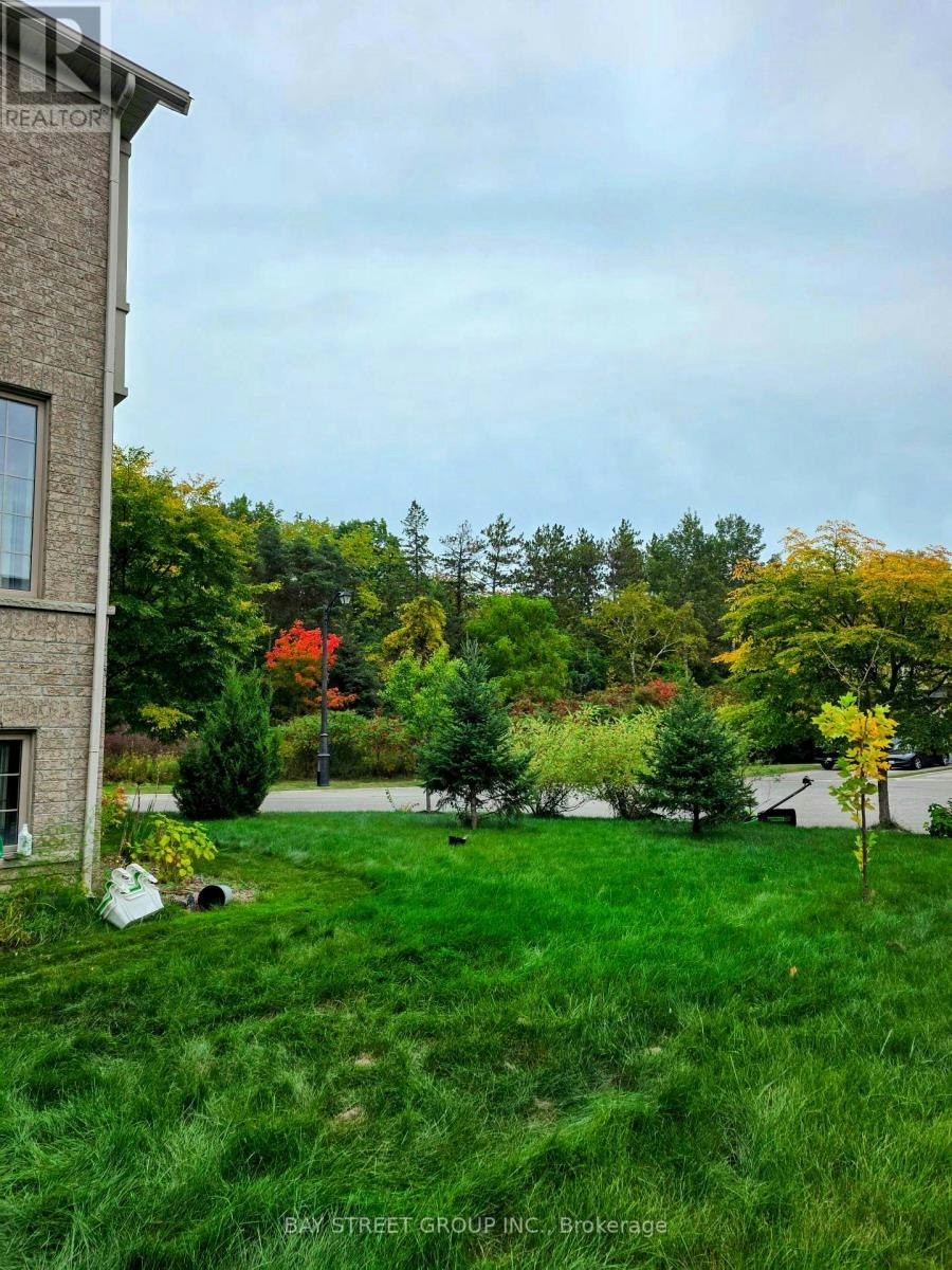 159 Riding Mountain Drive, Richmond Hill, ON, L4E 0T9 - 34