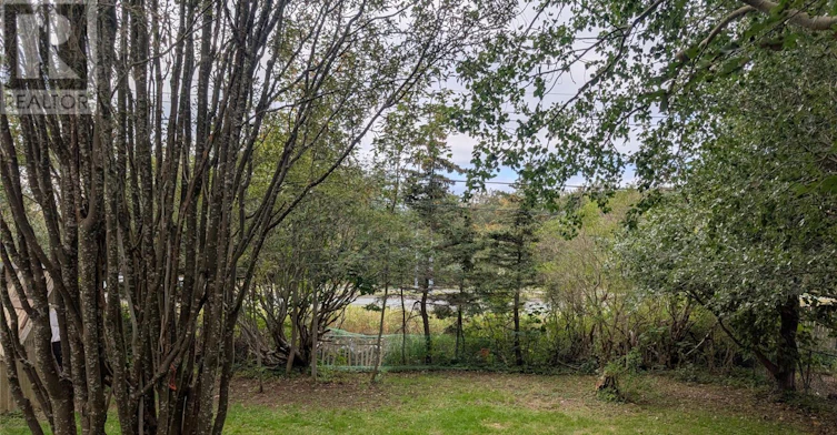 32 Dundas Street, St Johns, NL, A1B 1X2 - 3