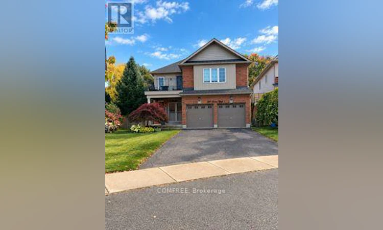 241 Acton Boulevard
