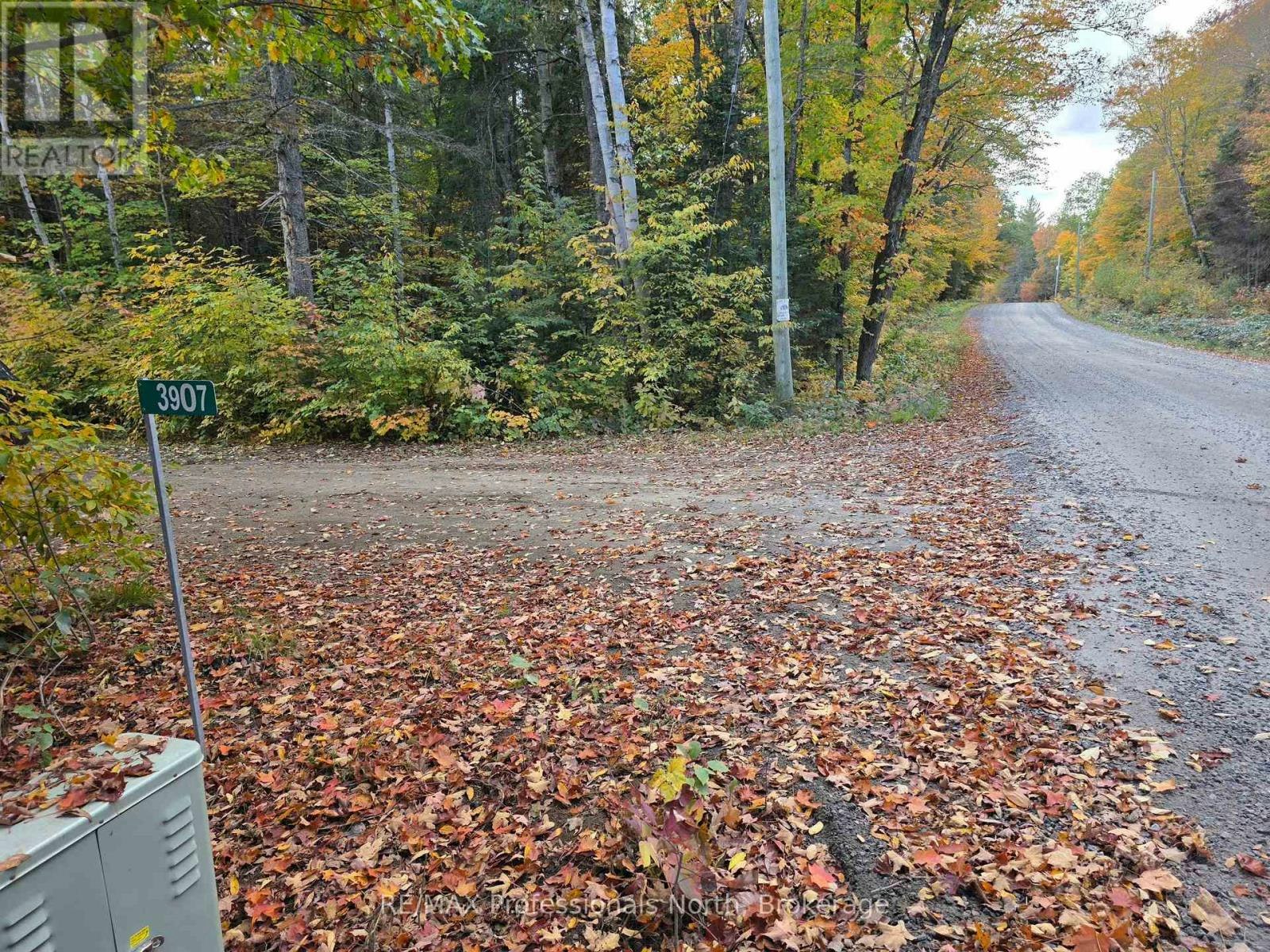 3907 Stisted Road, McMurrich/Monteith, ON, P0A 1Y0
