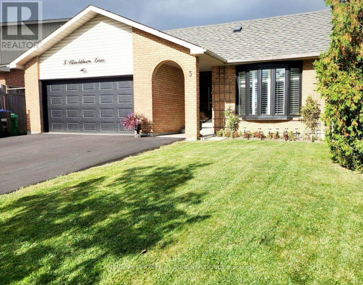 3 Blackthorn Lane E, Brampton, ON, L6V 3K7